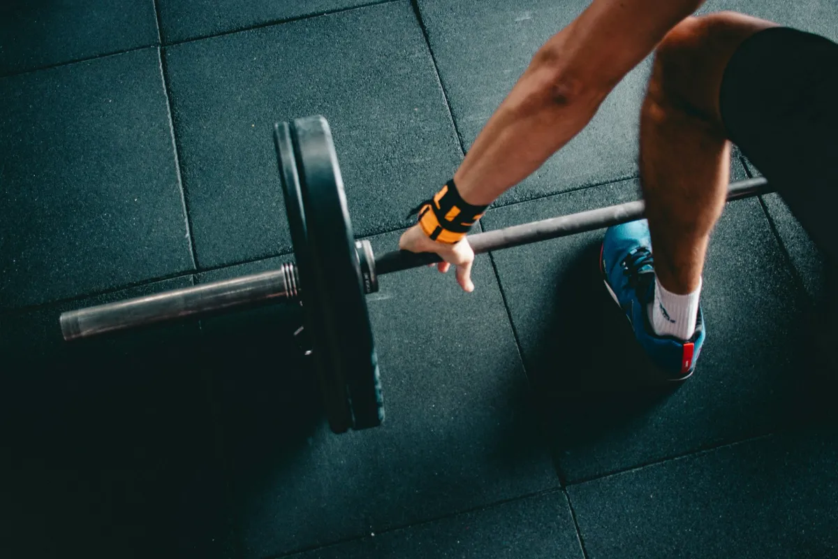 Full Body Hypertrophy