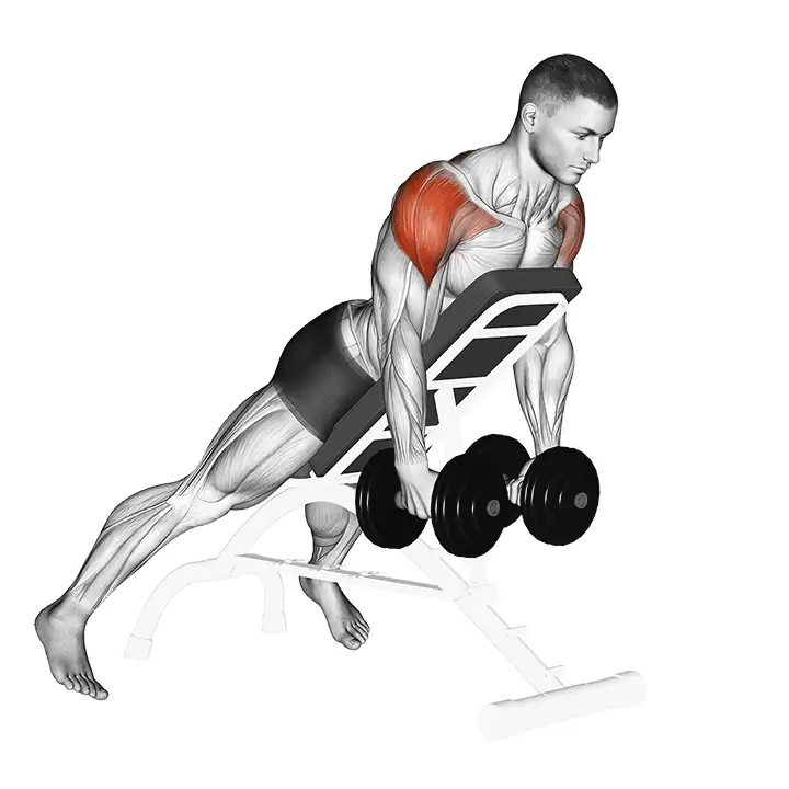 Elevação lateral posterior inclinada com halteres