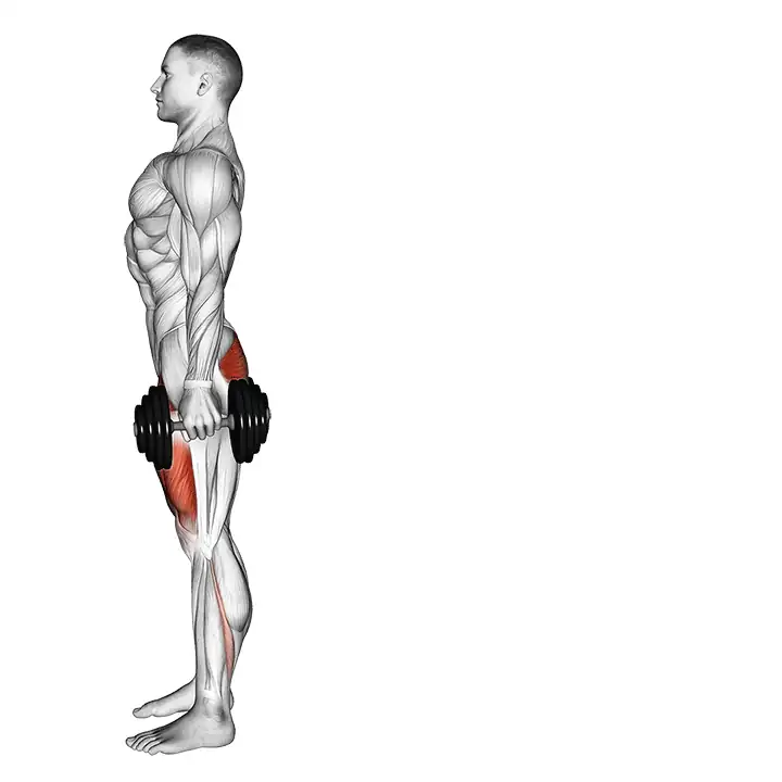 Afundo posterior com halteres