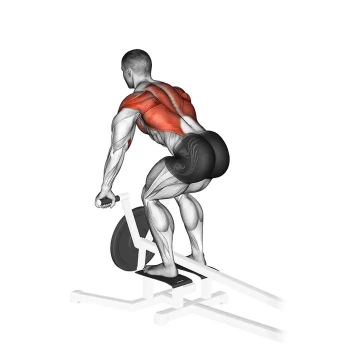 lever t bar row