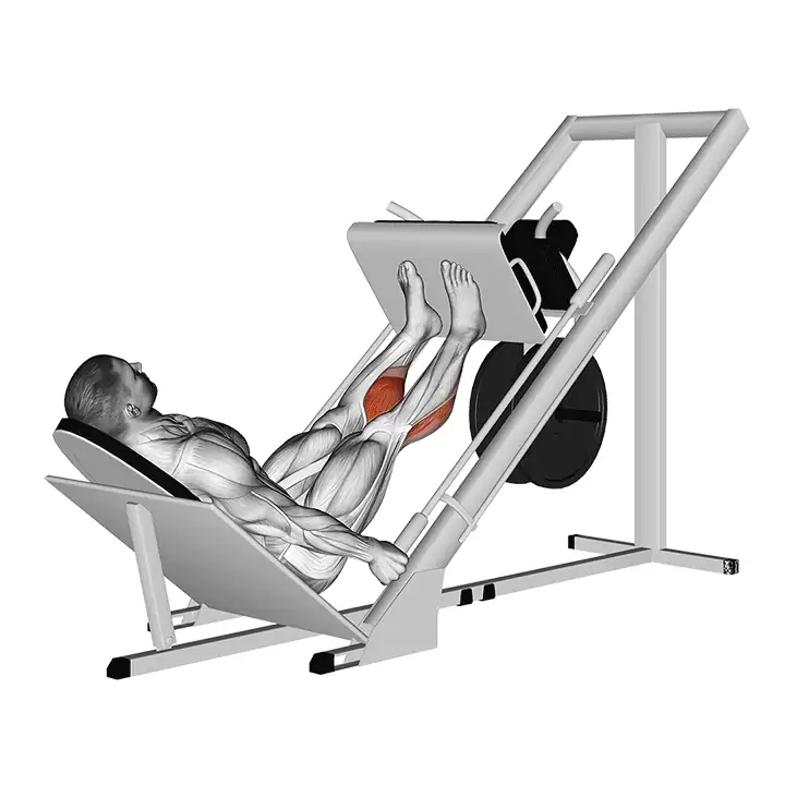 Panturrilha no leg press 45°