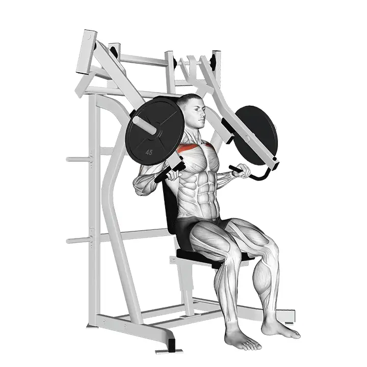 lever incline chest press